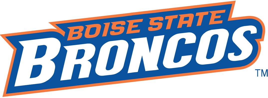 Boise State Broncos 2002-2012 Wordmark Logo diy iron on heat transfer